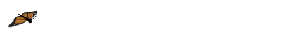 篮球训练器具_1